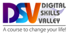 Digital Skills Valley