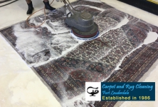 Carpet Rug Cleaners Ft Lauderdale
